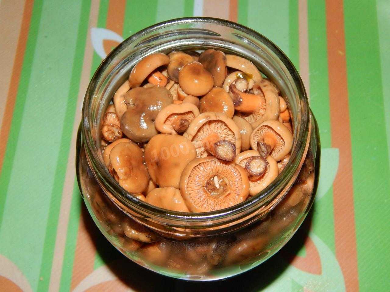 Маринованные рыжики на зиму — 11 самых вкусных и простых рецептов