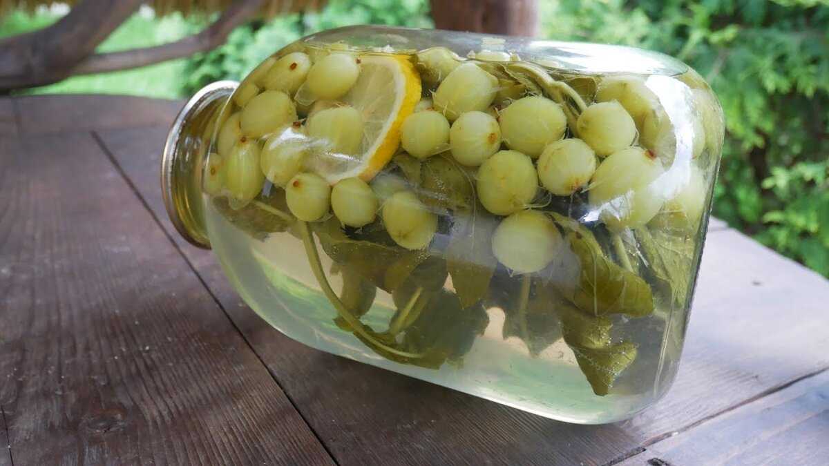 Вкуснейшие рецепты компота из замороженных ягод в кастрюле