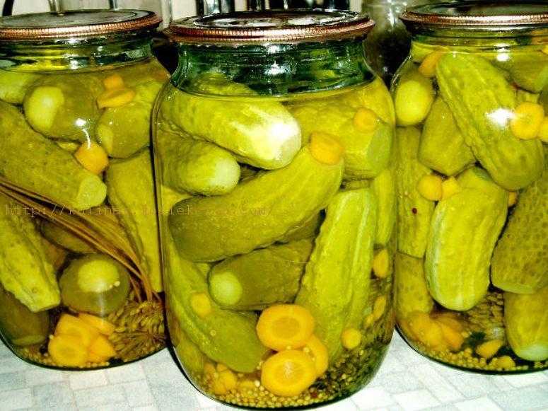 Маринованные огурцы польские рецепты