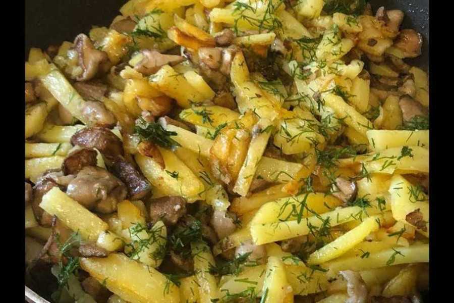Как готовить маслята? блюда из маслят: рецепты и советы по приготовлению