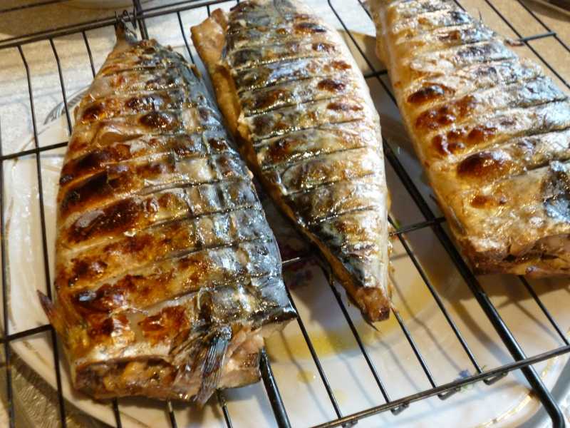 Запеченная скумбрия на мангале: топ-5 рецептов, кулинарные секреты