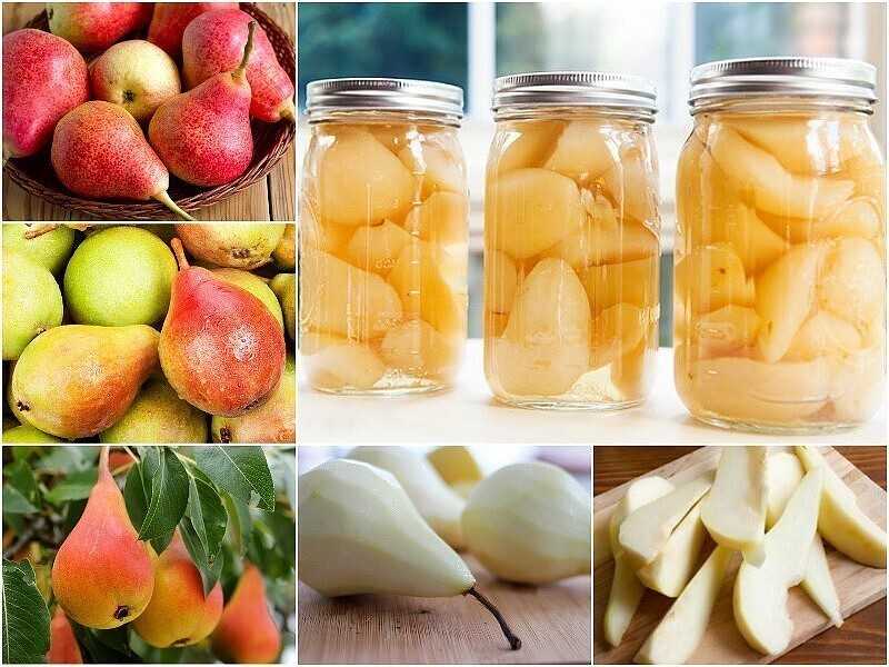 Компот из яблок на зиму - рецепты на 3-х литровую банку