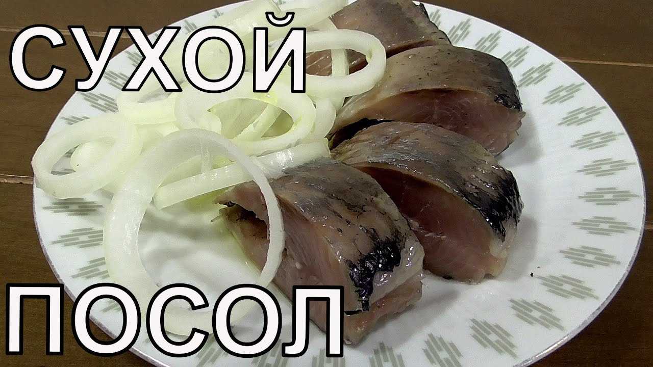 Самые вкусные рецепты засолки селедки дома: топ-10