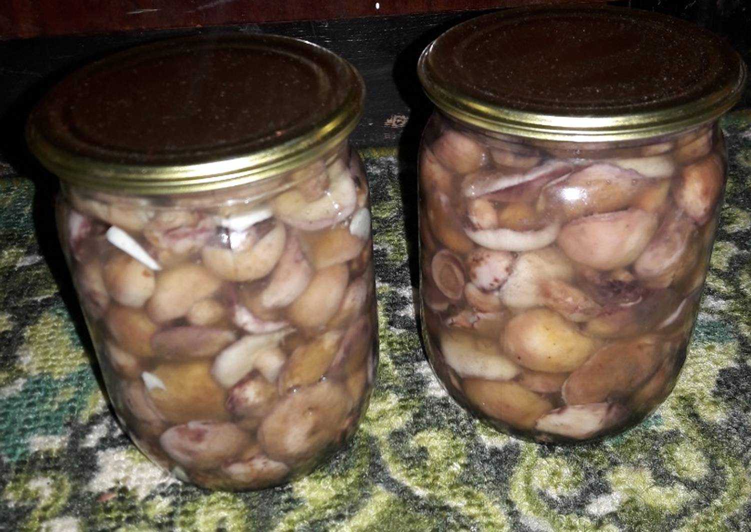 Как мариновать маслята в банках на зиму – самые простые и вкусные рецепты