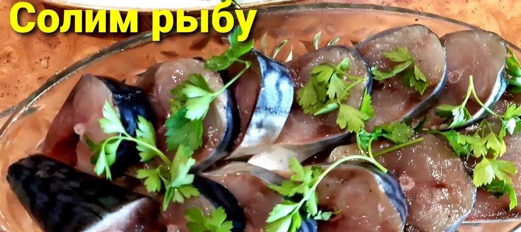 Засолка скумбрии сухим способом. очень вкусная малосольная скумбрия целиком | народные знания от кравченко анатолия