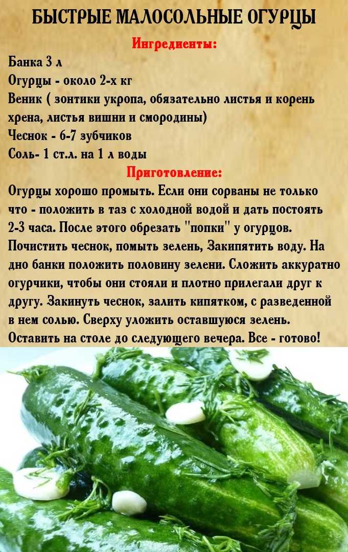 Засолка огурцов в кастрюле: 5 простых рецептов / заготовочки