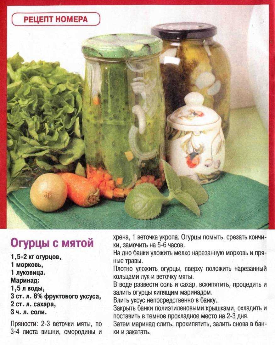 12 лучших рецептов маринованных огурцов на зиму: простые, вкусные, хрустящие