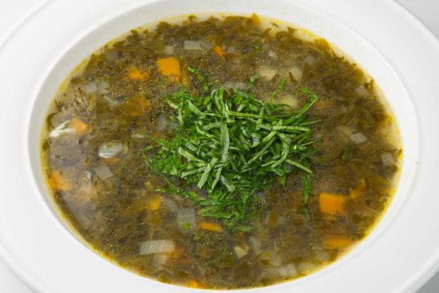Щи из щавеля: 8 полезных рецептов