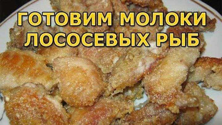 Маринованные молоки лососевых: рецепты и лучшие идеи для приготовления