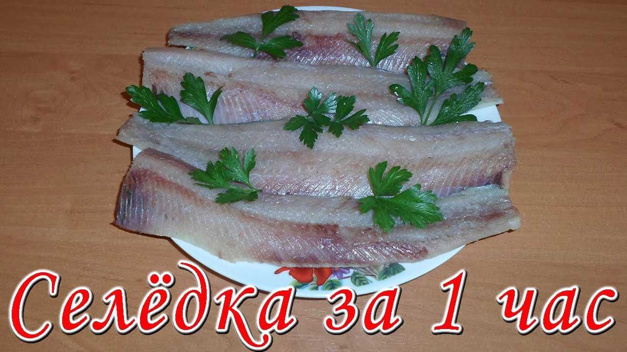 Как засолить селедку вкусно и быстро — рецепты посола свежей сельди