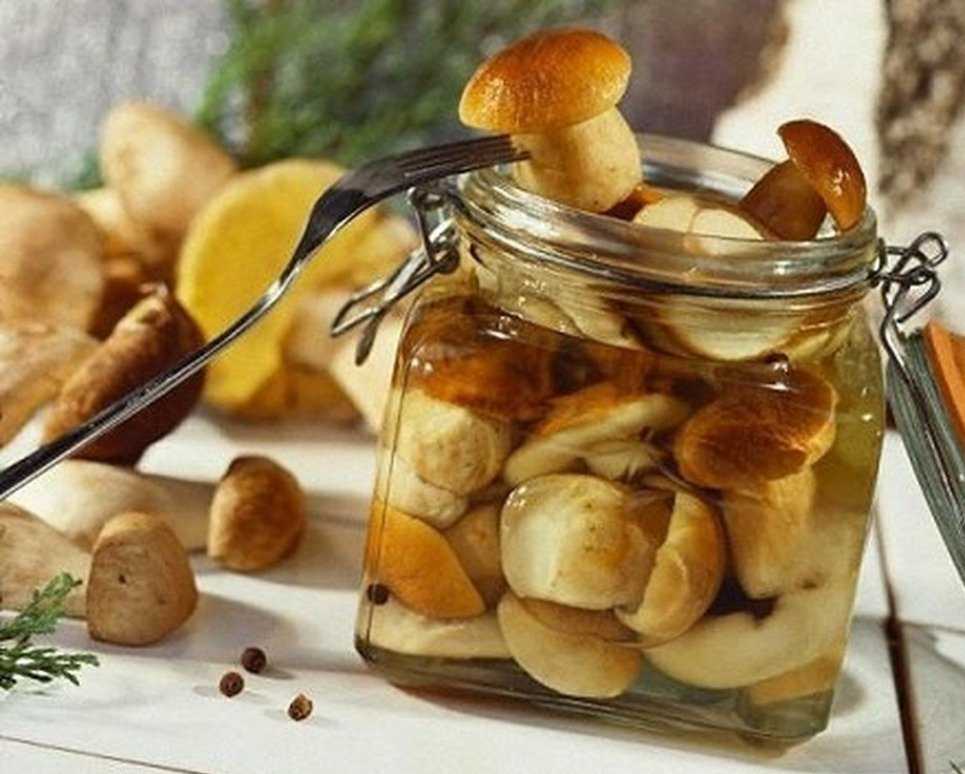 Вкусный рецепт соления грибов. как засолить подберезовики? основные способы и правила приготовления. соление подберезовиков на зиму рецепты