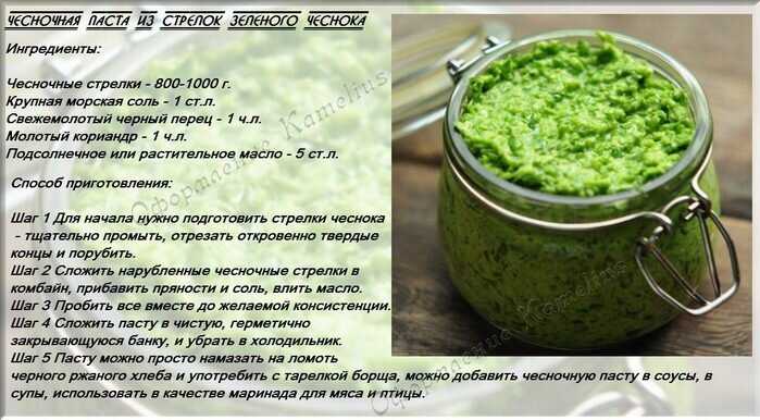 Рецепты полезных салатов из стрелок чеснока – домашние заготовки