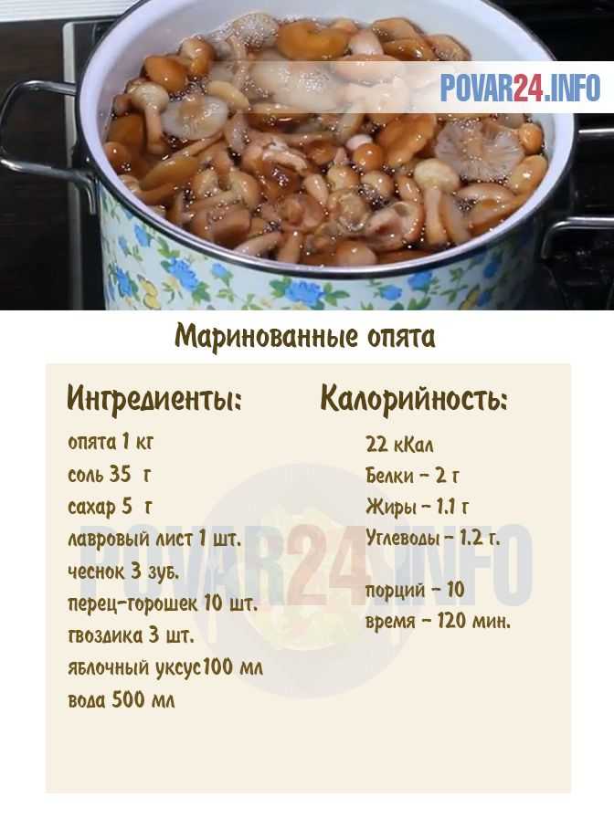 Опята маринованные на зиму: вкусные рецепты быстрого приготовления в домашних условиях