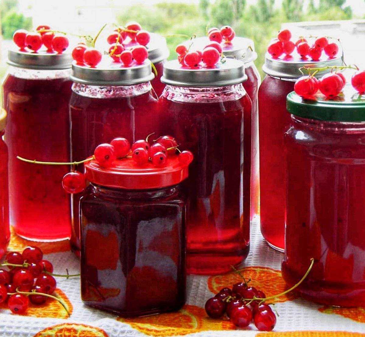 Густой джем из красной смородины 5 минутка на зиму — рецепты вкусного смородинового джема как желе