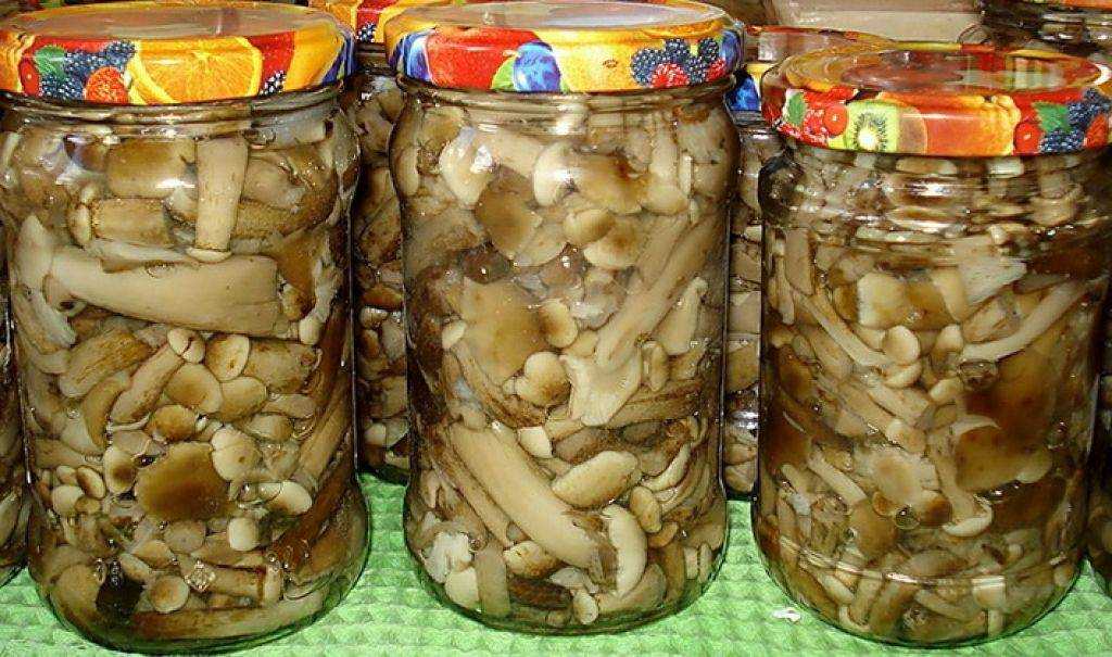 Маринованные опята на зиму — 6 простых рецептов приготовления маринованных опят