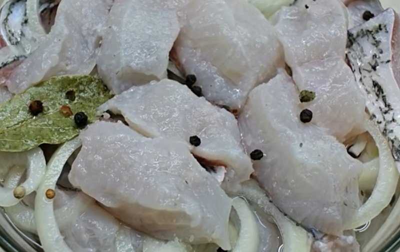 Рецепты приготовления маринованного толстолобика