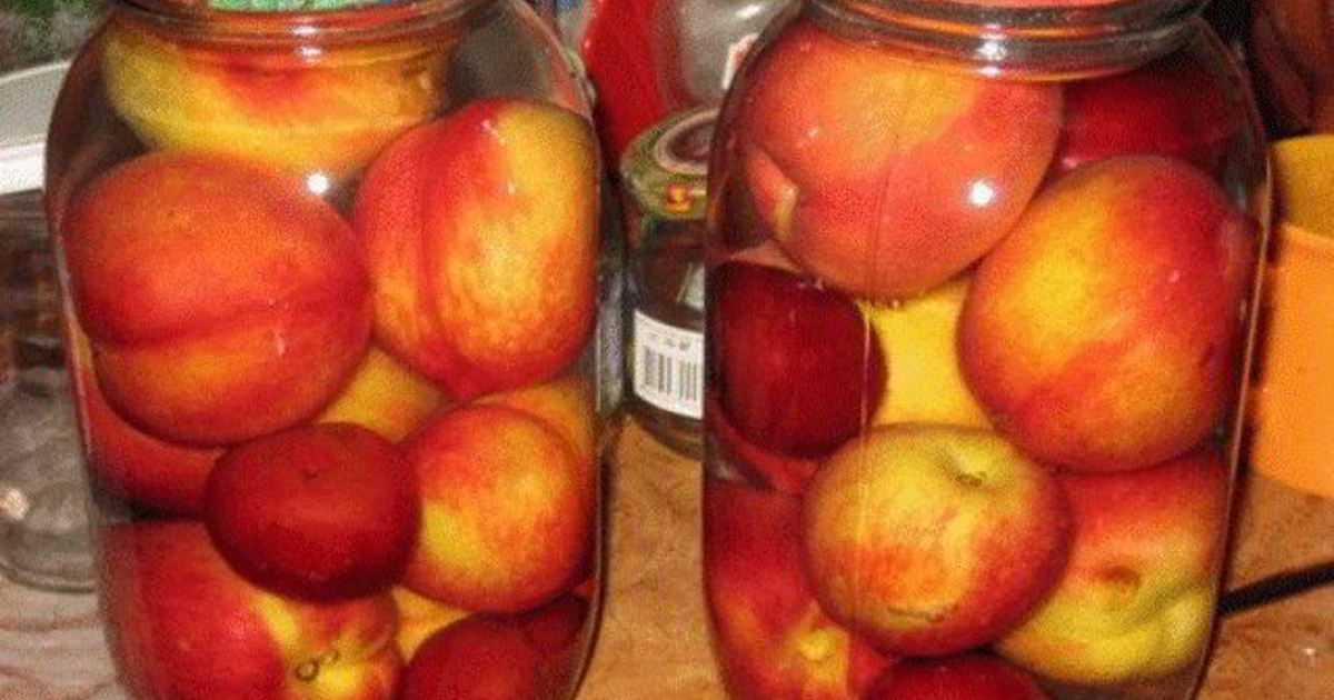 Компот из персиков на зиму: топ 10 простых рецептов на 1-3 литровую банку с фото