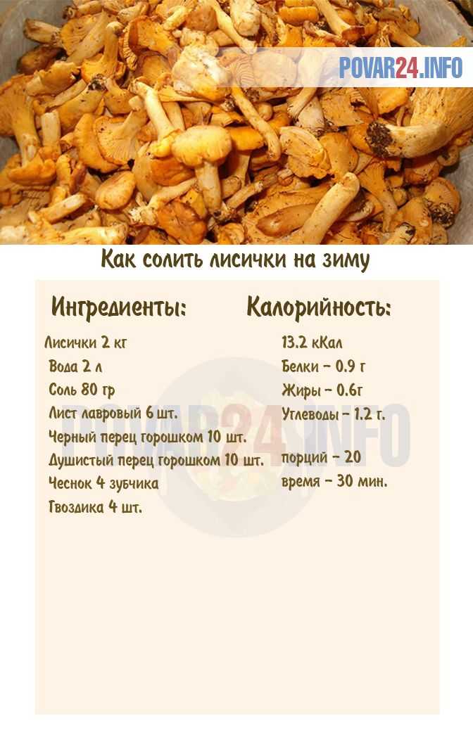 Лисички соленые горячим способом  рецепт с пошаговыми фото
