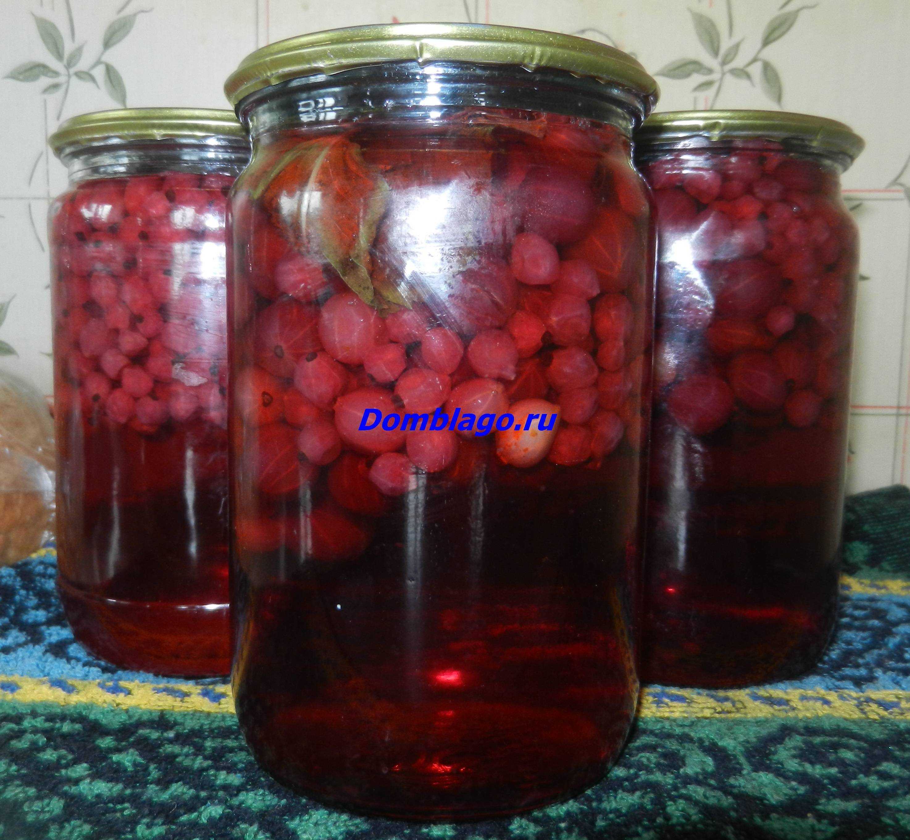 Простые и вкусные способы приготовить компот из красной смородины на 3-литровую банку