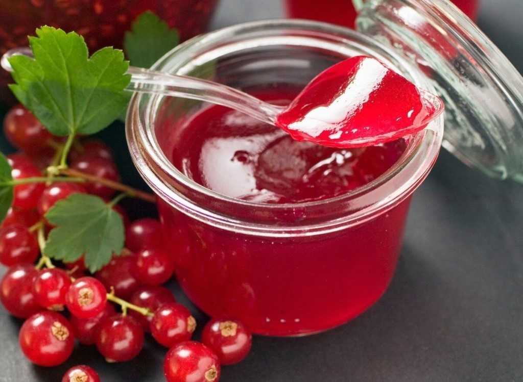 Компот из красной смородины на зиму: 6 рецептов