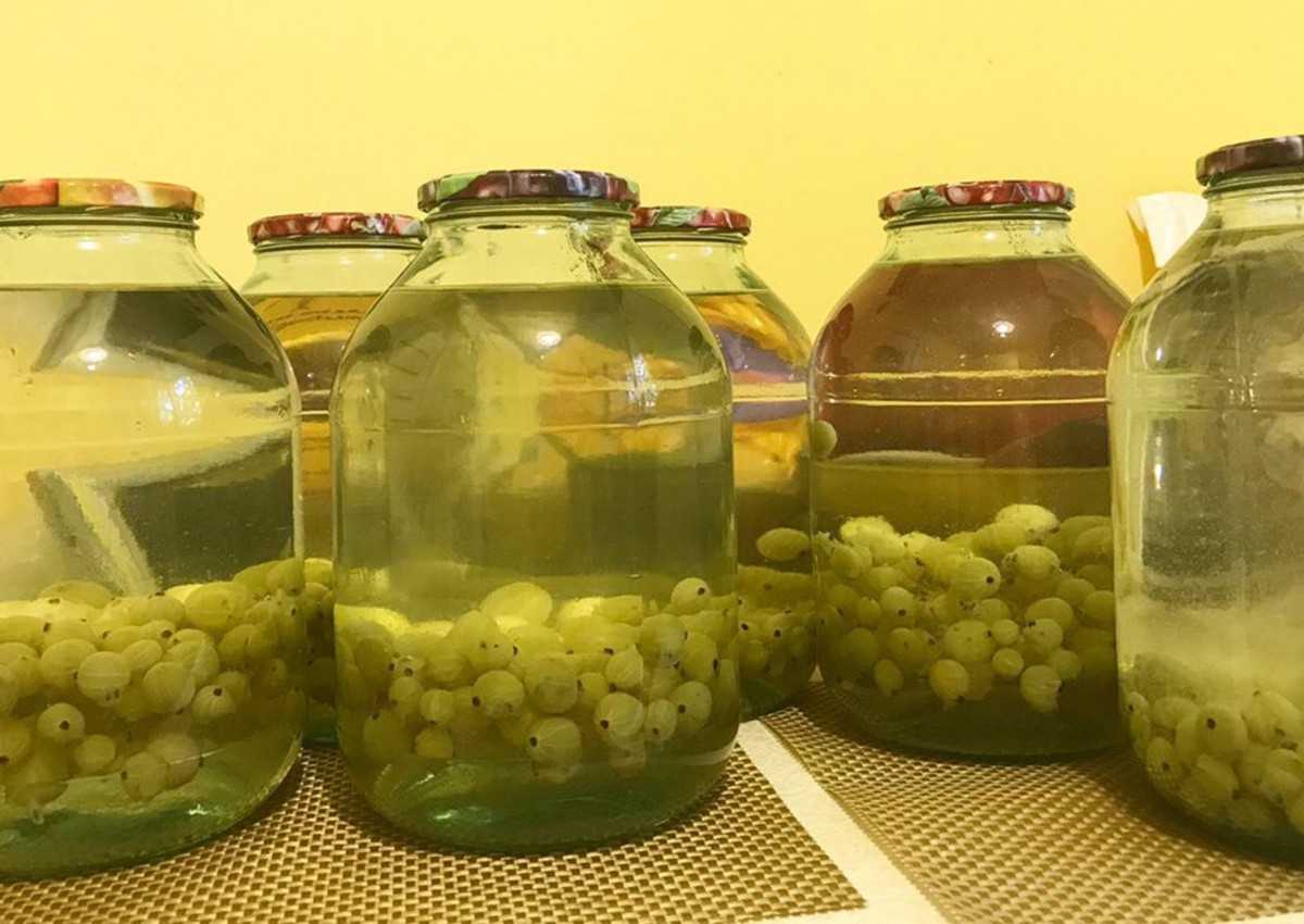 Компоты из крыжовника на зиму: 10 очень вкусных и оригинальных рецептов