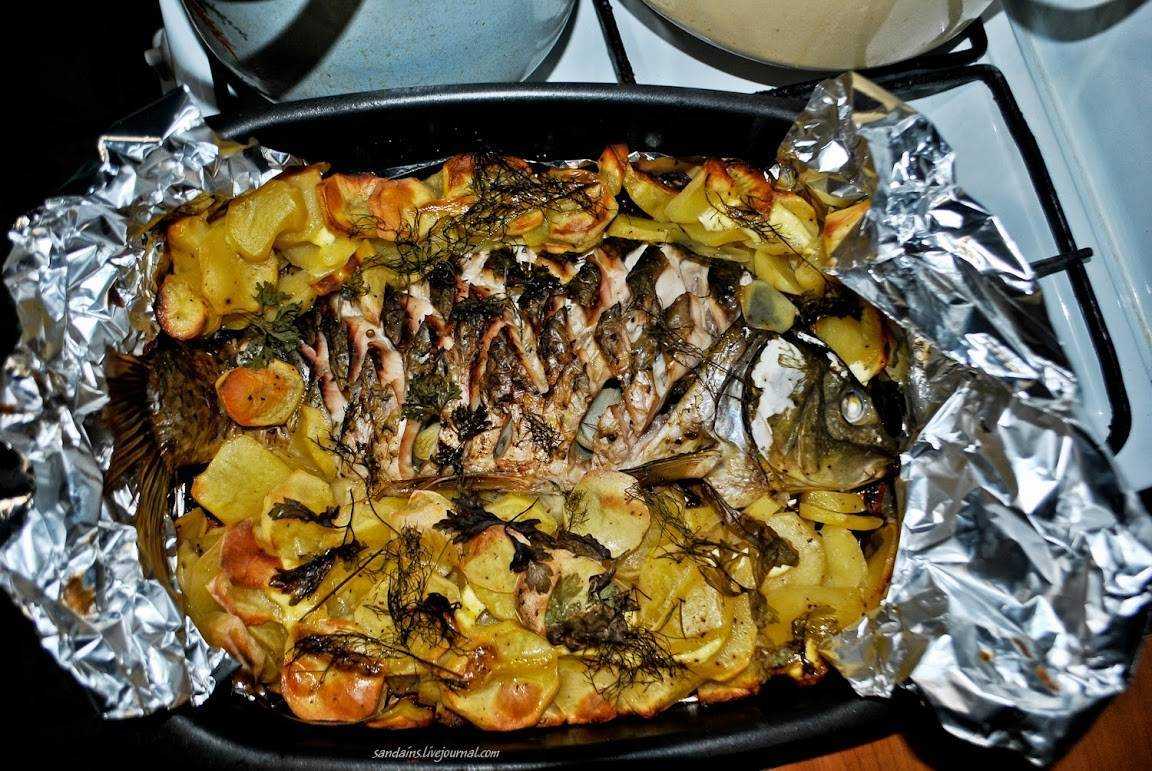 Топ-8 вкусных блюд из зеркального карпа