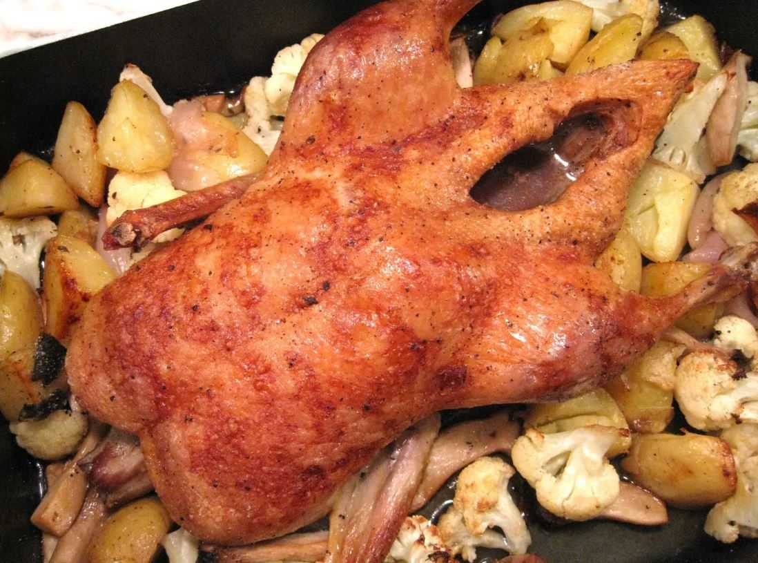 Утка в духовке с картошкой – 8 рецептов как вкусно приготовить