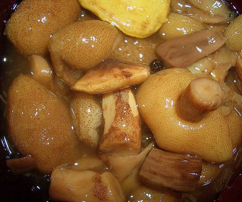 Как мариновать маслята в банках на зиму – самые простые и вкусные рецепты