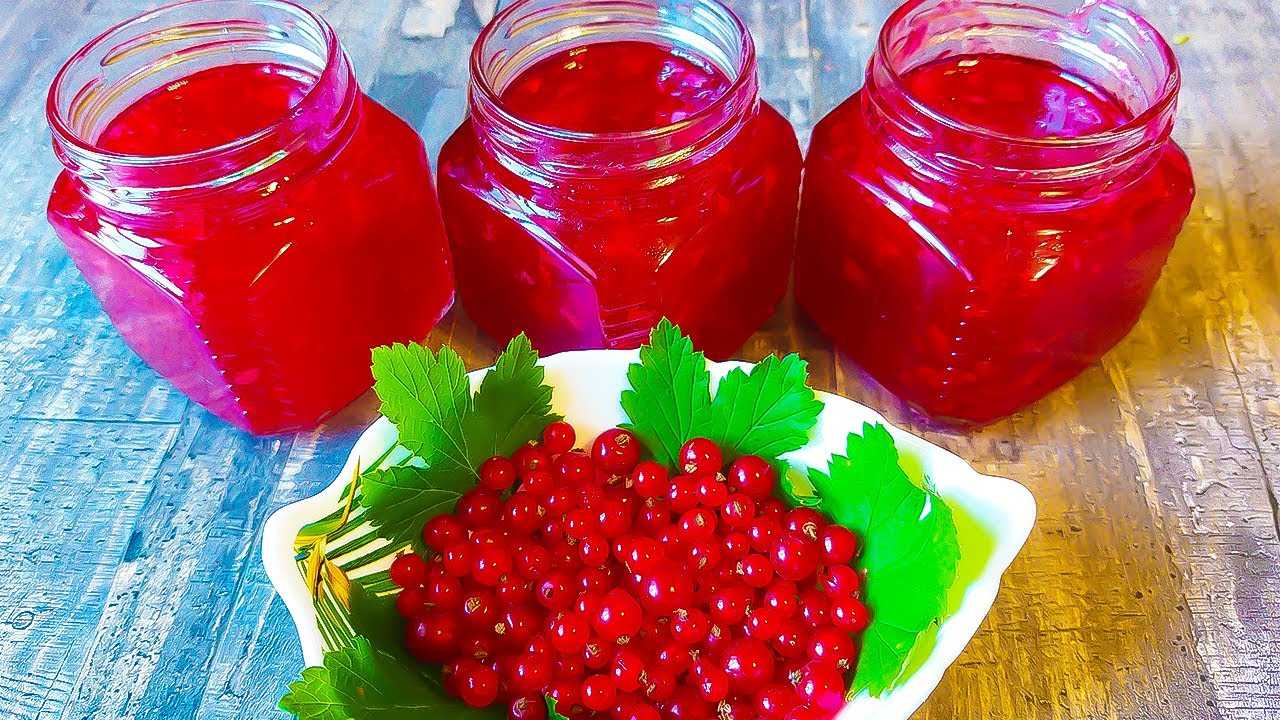 Густой джем из красной смородины 5 минутка на зиму — рецепты вкусного смородинового джема как желе