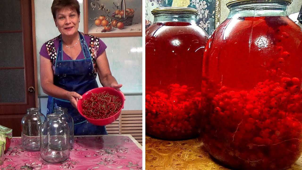 Как варить компот из красной смородины на зиму