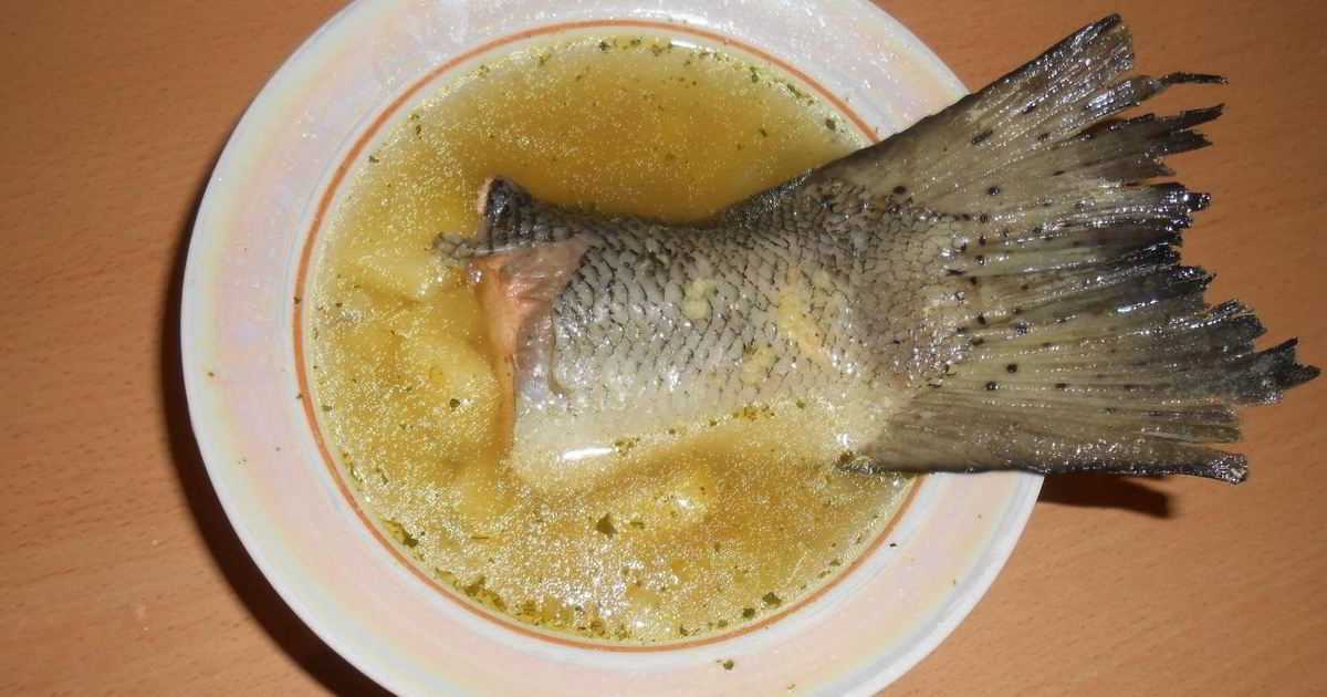 Суп из головы форели: простой и вкусный рецепт