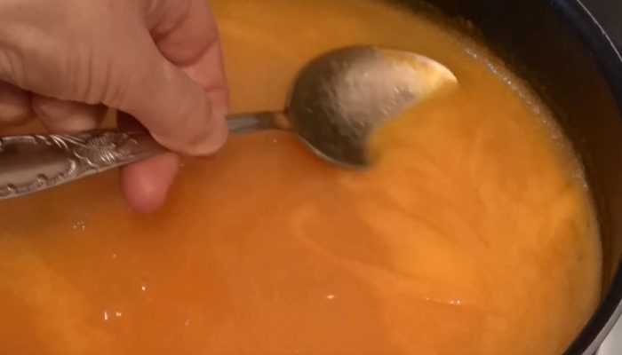Самые вкусные и полезные рецепты приготовления тыквенного сока в соковарке на зиму