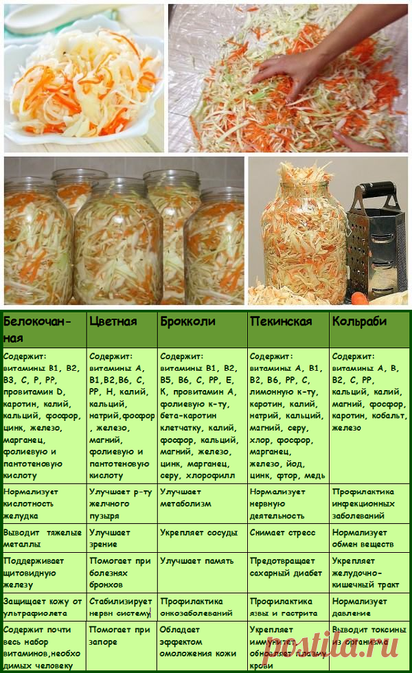 Квашеная капуста — 14 рецептов приготовления в домашних условиях