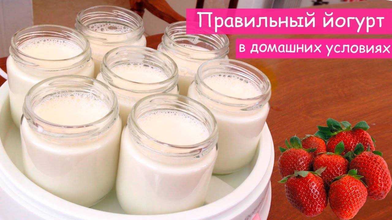 10 вкуснейших рецептов для йогуртницы