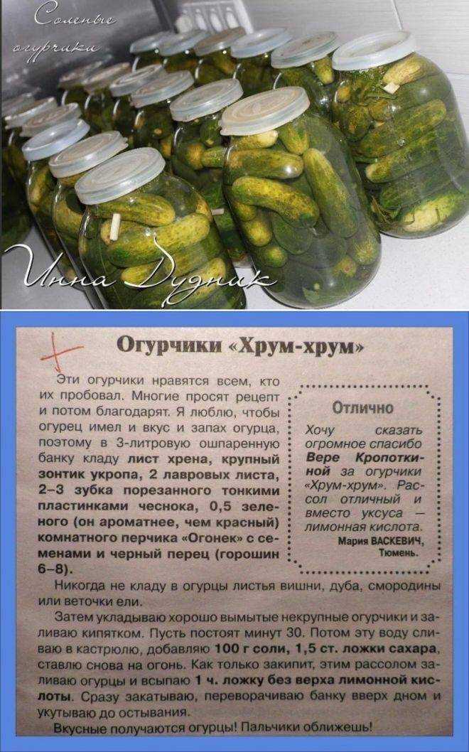 20 простых и вкусных рецептов малосольных огурцов