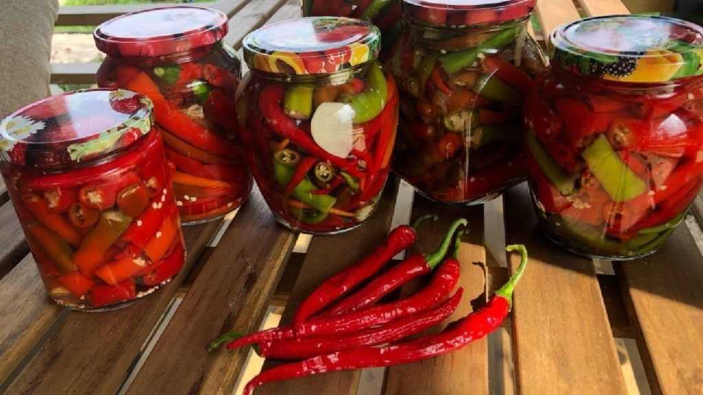 Маринованный перец болгарский на зиму: рецепты без стерилизации