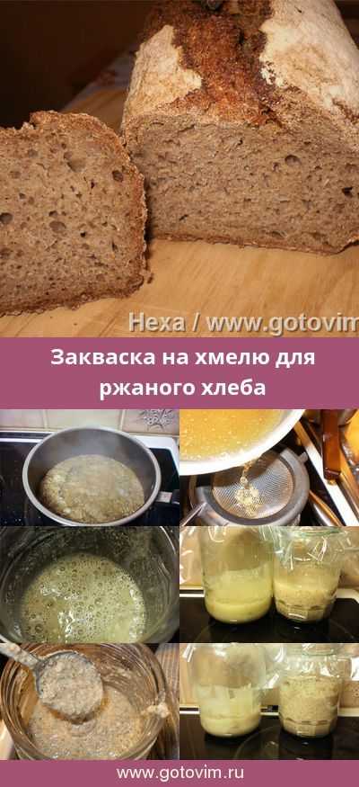 Как сделать хмелевую закваску для хлеба дома - день 3, 4, 5, пошаговые фото, видео