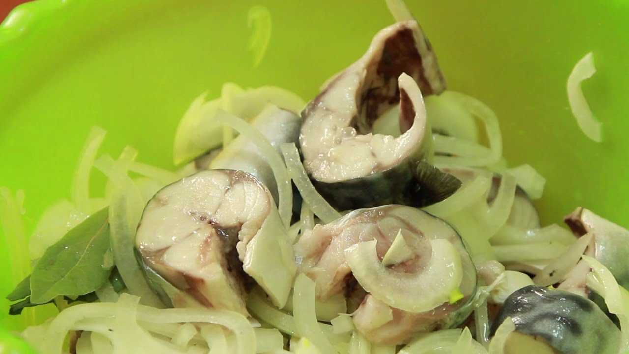 Как солить скумбрию в рассоле: 7 рецептов
