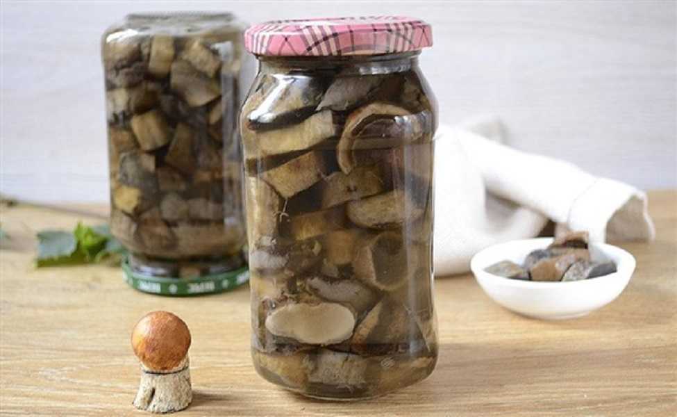 Рецепт соленых подосиновиков горячим способом: самый вкусный способ приготовления