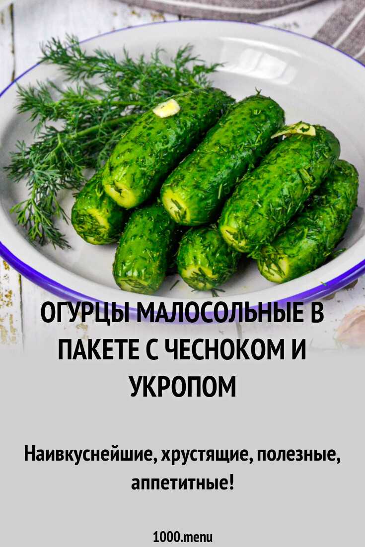 15 отличных рецептов малосольных огурцов в пакете
