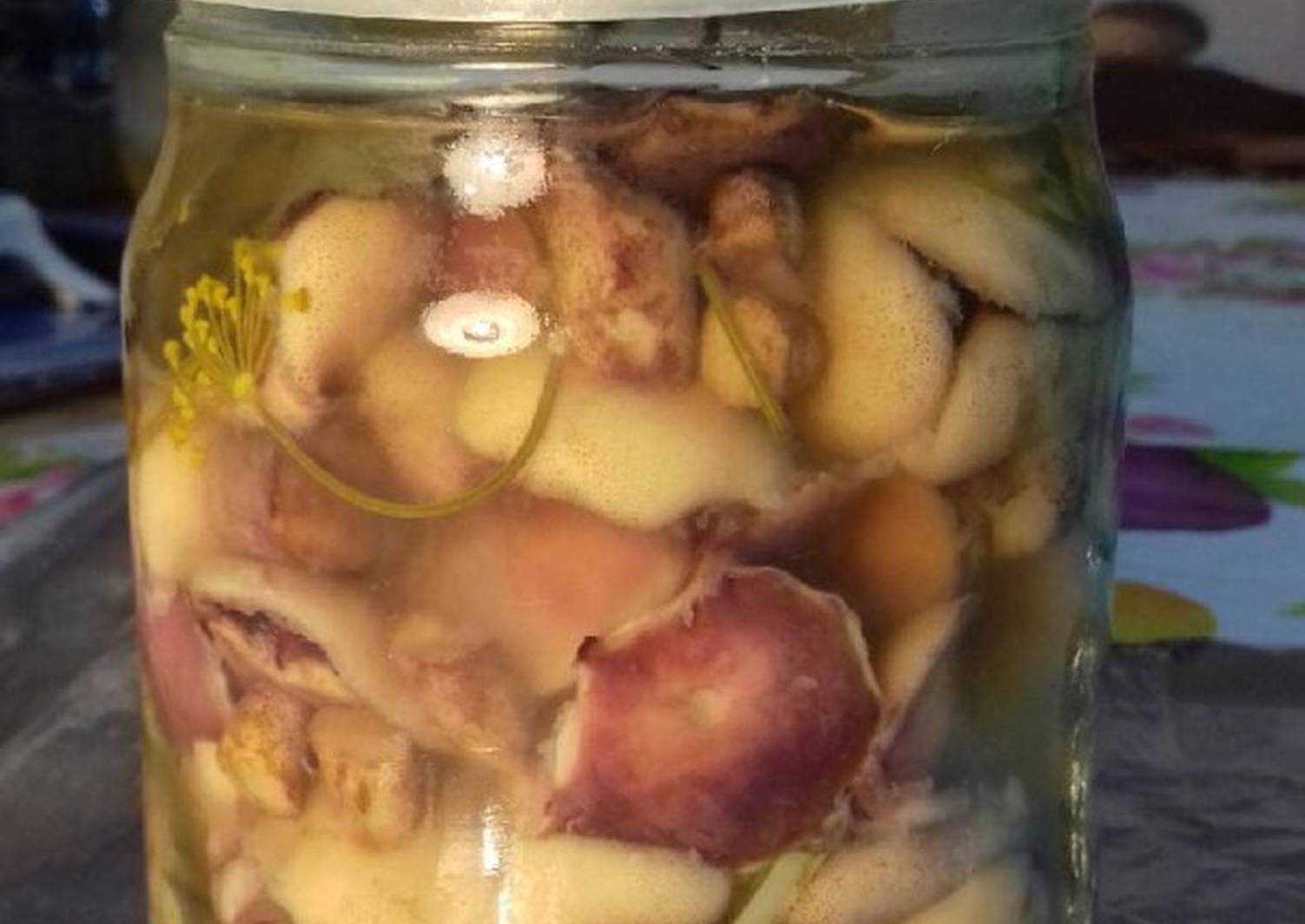 Маринованные маслята на зиму – 15 самых вкусных и простых рецептов