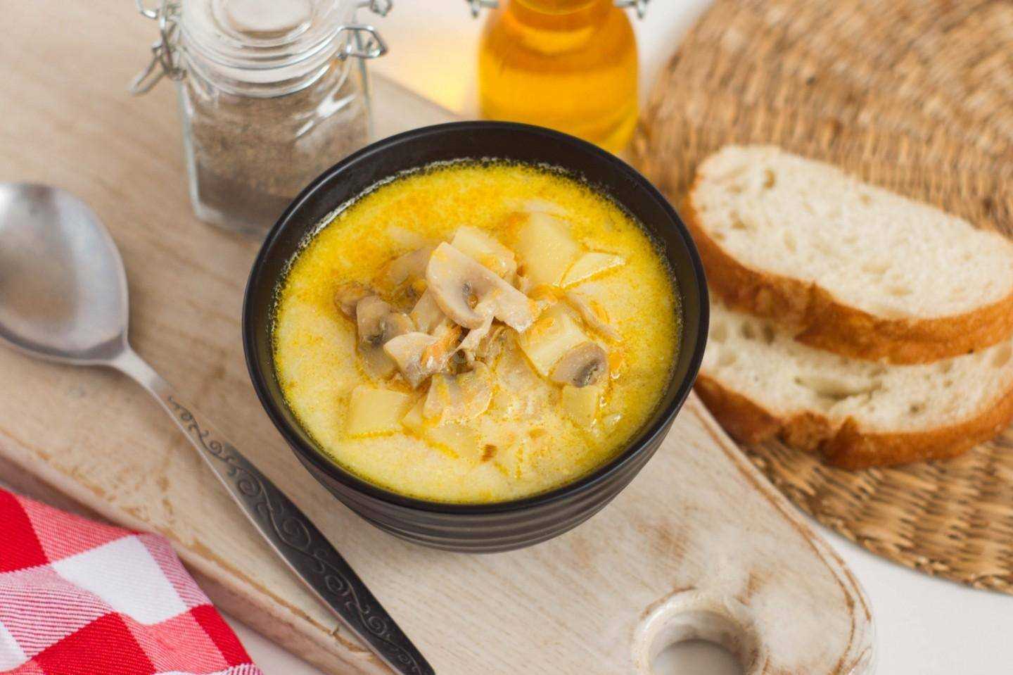 Грибной суп из белых грибов: 15 самых вкусных рецептов