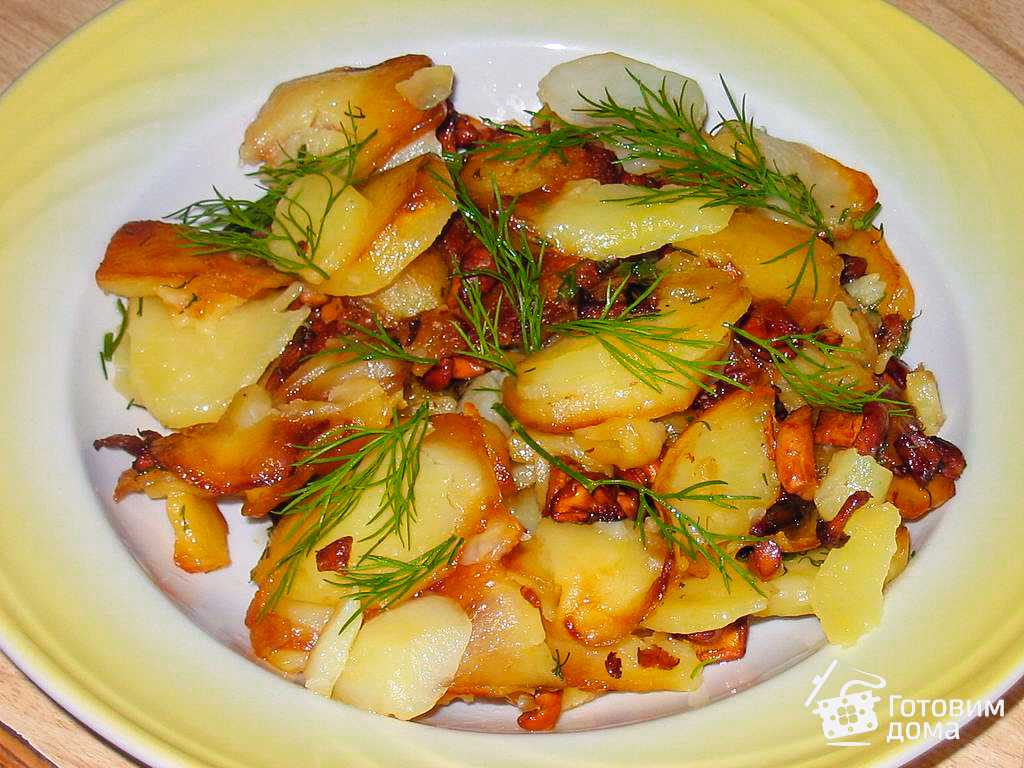 Как вкусно приготовить лисички: домашние рецепты