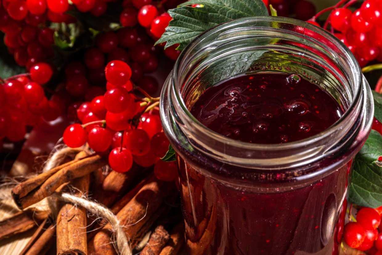 Желе из красной смородины на зиму: пошаговые рецепты, без варки и с варкой