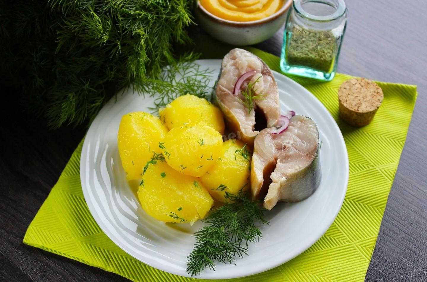 Как засолить скумбрию в домашних условиях? 8 очень вкусных рецептов скумбрии с несравненным вкусом