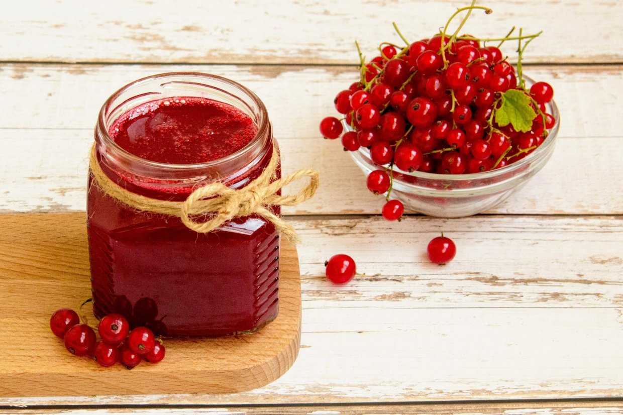 Протертая красная смородина на зиму с сахаром без варки: лучшие рецепты и пропорции для заготовки, что можно приготовить в блендере