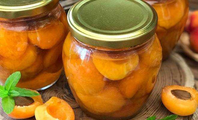 Как заготовить абрикосы на зиму — самые вкусные рецепты