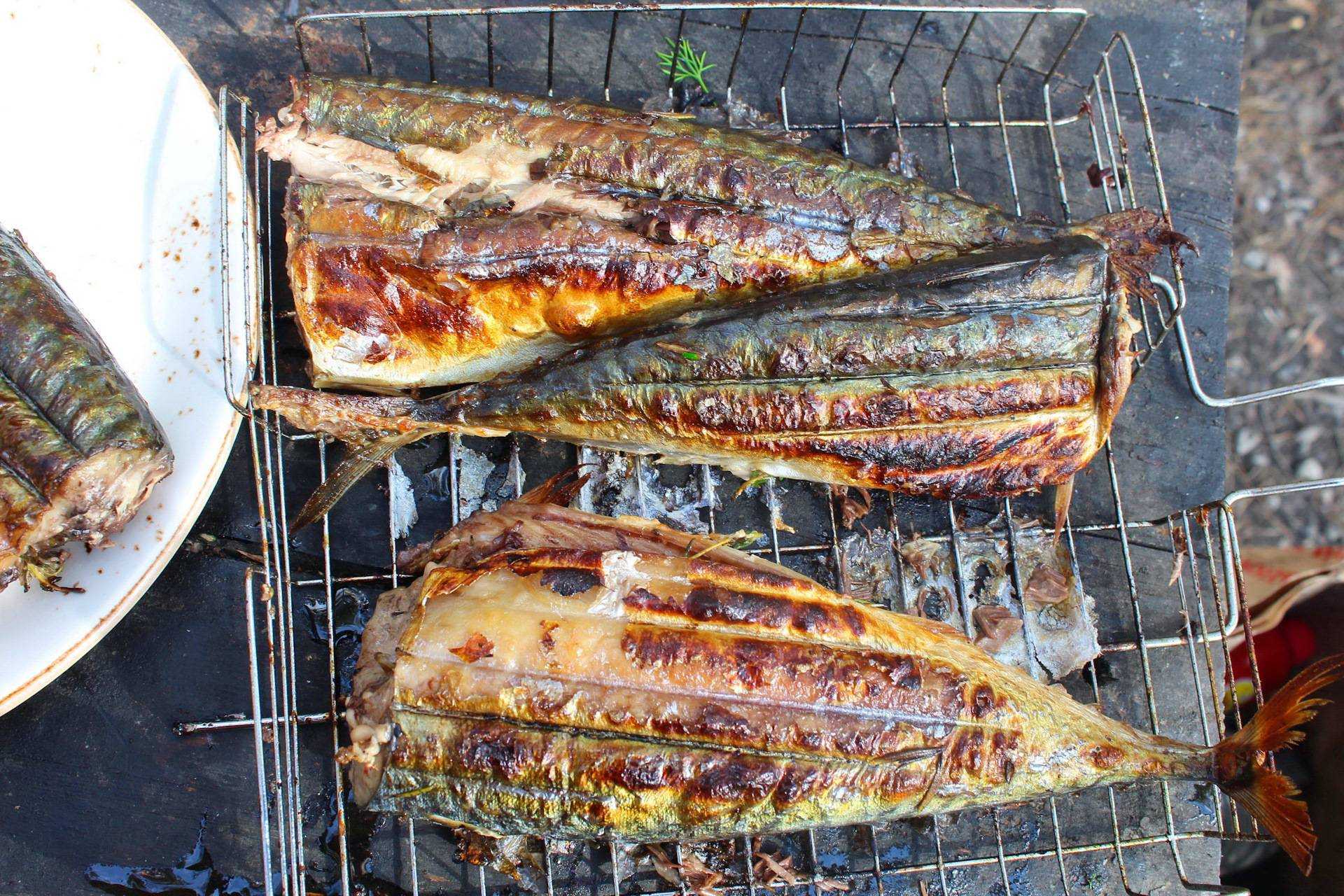 Шашлык из рыбы на мангале. какую рыбу выбрать и как приготовить шашлык из рыбы