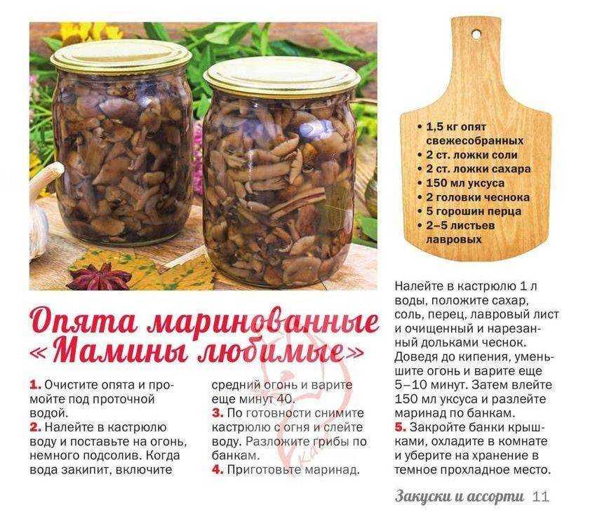 Маринованные белые грибы: 3 рецепта и секреты как замариновать грибы