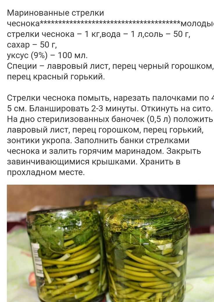 Стрелки чеснока: рецепт приготовления на зиму в домашних условиях с фото и видео